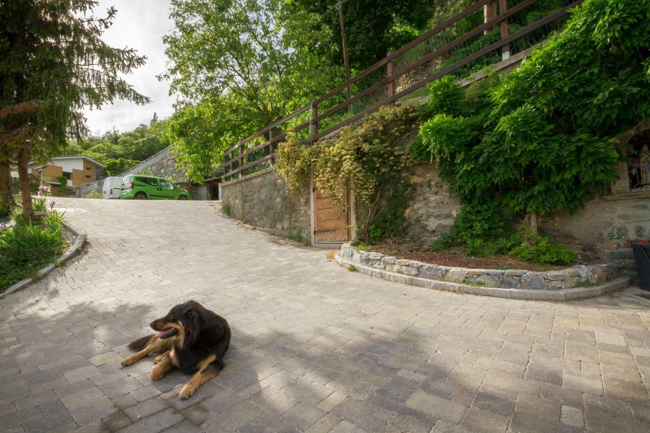 La Casa Di Alfredo E Virginia Daire Aosta Dış mekan fotoğraf