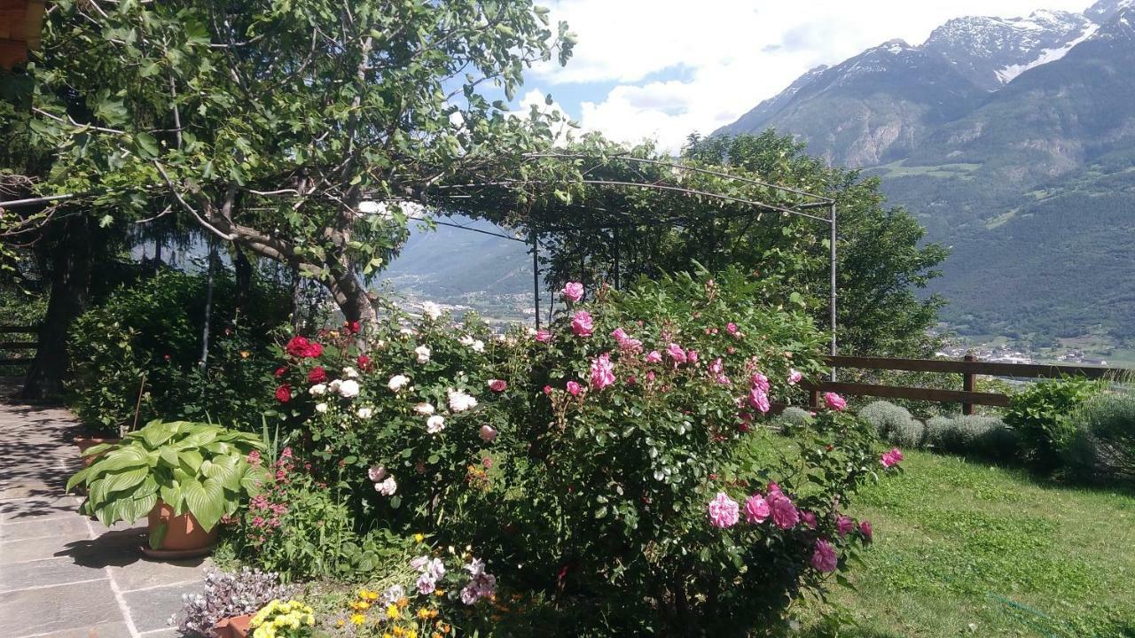 La Casa Di Alfredo E Virginia Daire Aosta Dış mekan fotoğraf